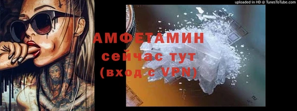 ECSTASY Богородицк