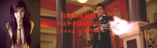 ECSTASY Богородицк