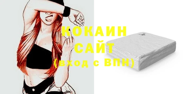 ECSTASY Богородицк
