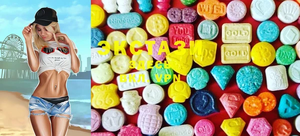 ECSTASY Богородицк