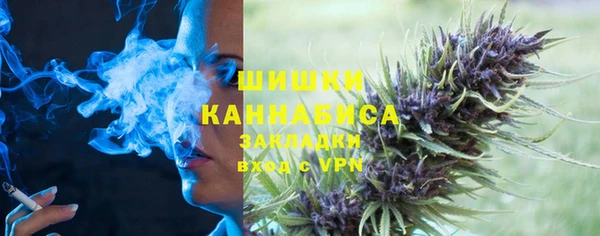 ECSTASY Богородицк