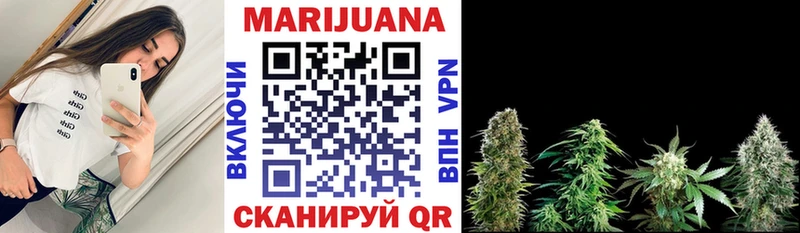 Бошки Шишки план  Нестеров 